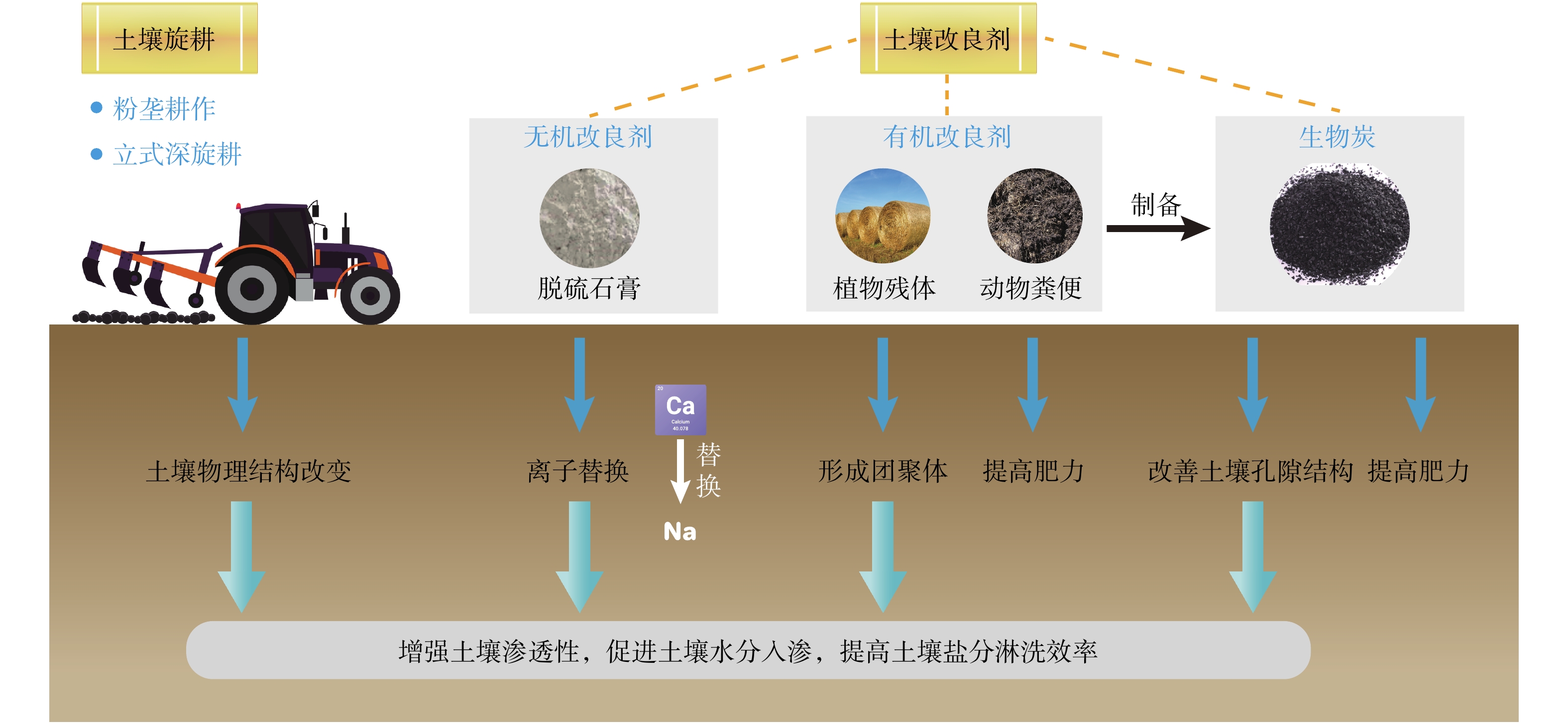 我国滨海盐碱地改良技术综述及案例研究