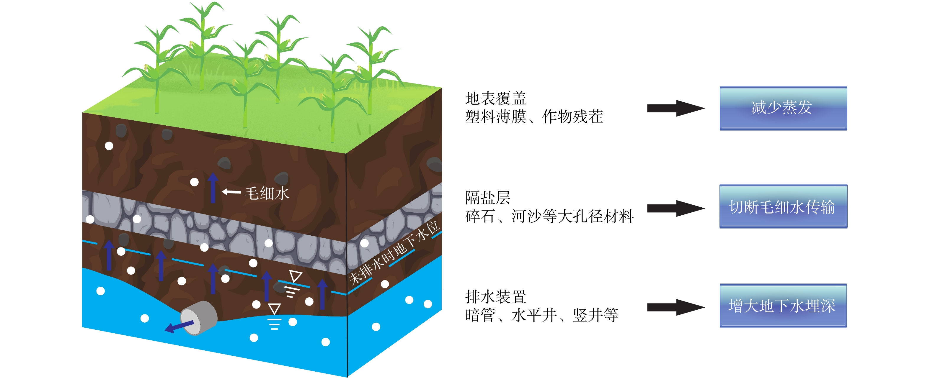 我国滨海盐碱地改良技术综述及案例研究